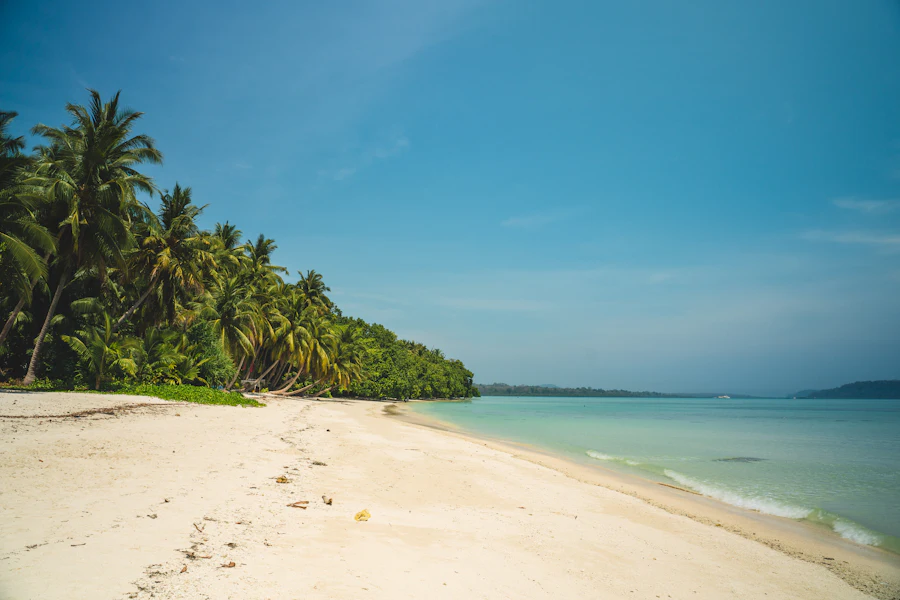 Andaman — Island beaches & coral