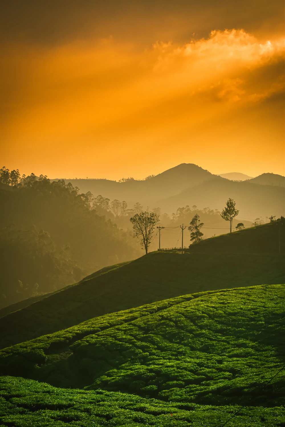 Kerala Tours